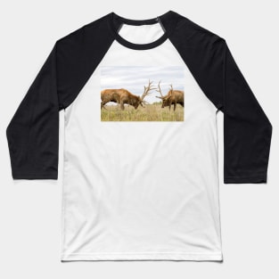 North American Wildlife - Bull Elk Facing Off Baseball T-Shirt